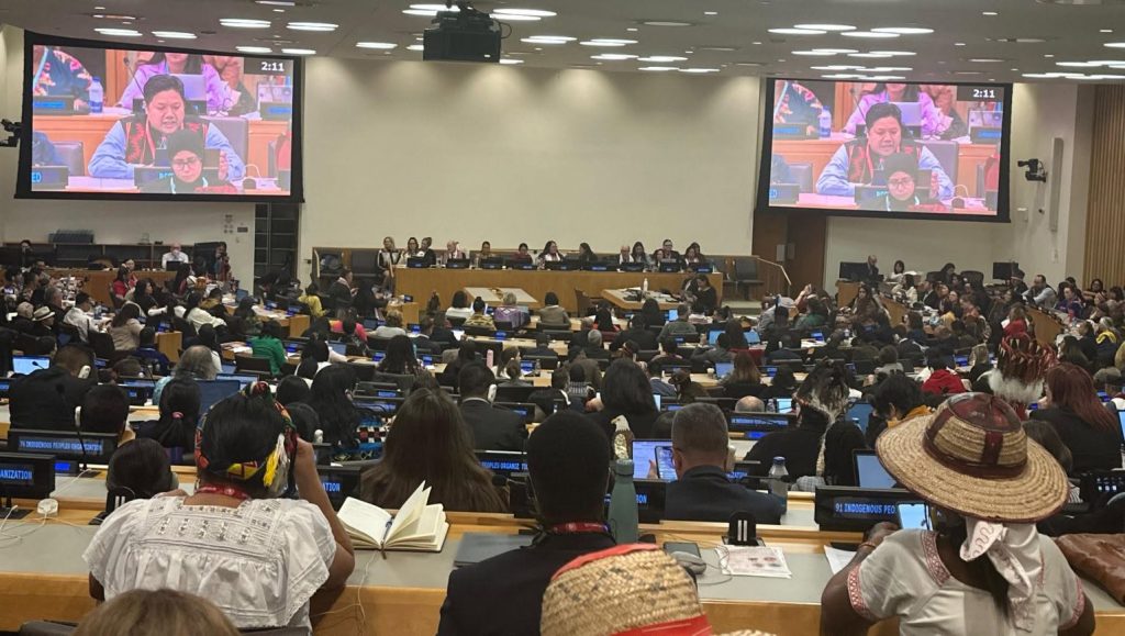 Pallab presenting a joint statement on behalf of the Asia Indigenous Peoples Caucus at the 25th Session of the United Nations Permanent Forum on Indigenous Issues, advocating for indigenous peoples’ rights to health, peace, and inclusion.